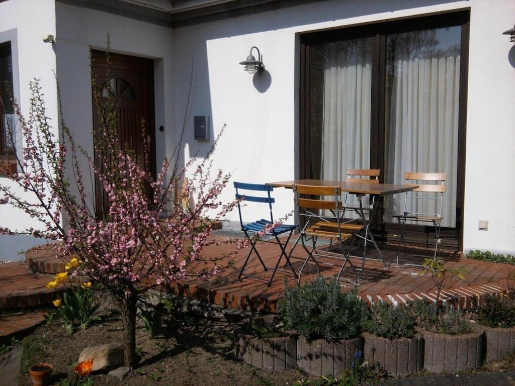 Ferienwohnung Hanns 基尔 外观 照片